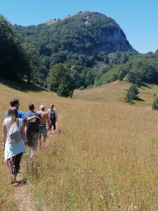 Rafting Camp Apartman Foca